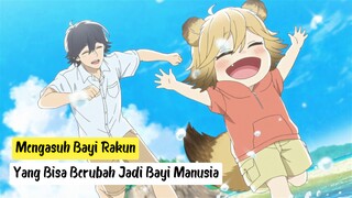 Bayi Rakun Yang Menggemaskan