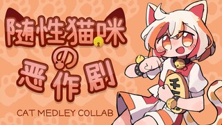 【合作】随性猫咪的恶作剧~ cat medley collab