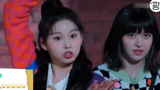 น้องสาวรุ่นน้อง NMIXX เต้นเพลง Lost Menu ของวง Straykids และหัวเราะหนักมากจนฉันอยากตาย