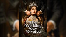 Ly hôn trong ngày cưới - The Wedding Day Divorce - Phụ đề tiếng Việt