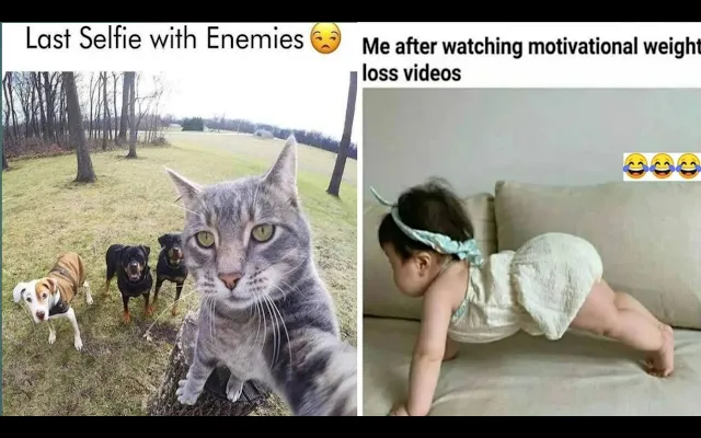 😂School Memes😂🤣เฮฮามีม🤣😆Relatable Memes😆😁Memes ที่มีแต่นักเรียนเท่านั้นที่จะเข้าใจ😄402