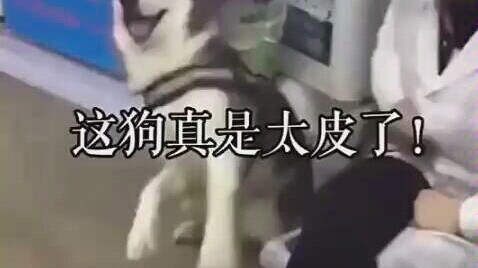 Every problem has its own solution...