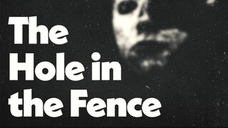 The Hole in the Fence