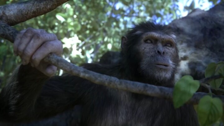 Out Of The Cradle (2018) watch Full Movie:Linen Description