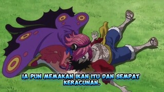 Orang-orang yang Menyelamatkan Luffy