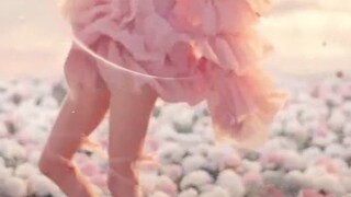 When the flowers bloom, the celebration has already begun! Use 4 walls to open the Kpop girl group i