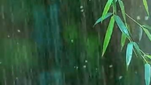 lluvia 3