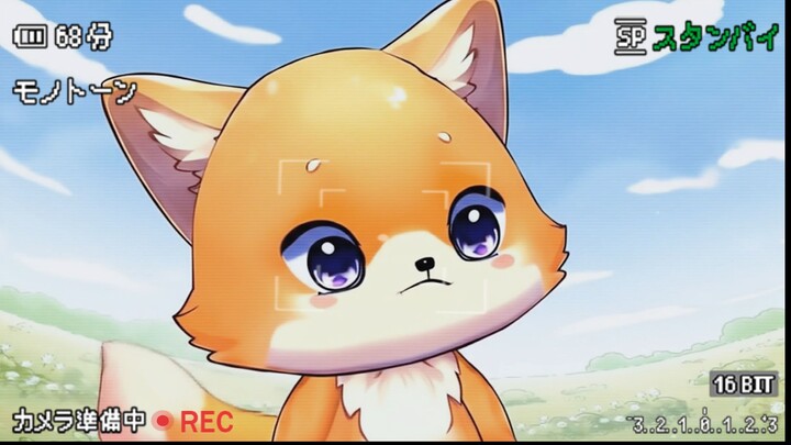 Wailhy the Little Fox Vlog - Episode 1 - Wailhy First Vlog!