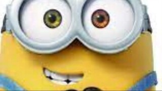 BOB