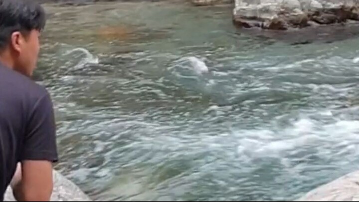 cast net fishing in Nepal | himalayan trout fishing with handmade cast net |