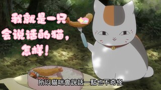 当猫咪老师不小心在人类幼崽面前说话