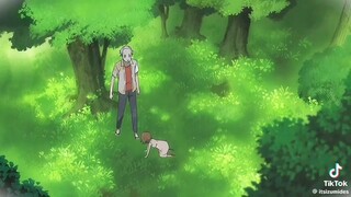 Into the Forest of Firefly's