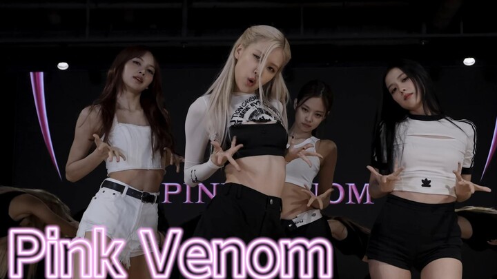 【BLACKPINK 4K练习室】 2022 Pink Venom 运镜版练习室