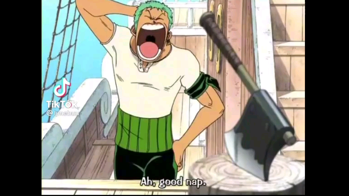 ZORO YOU PSYCHO! 🤣🤣🌱