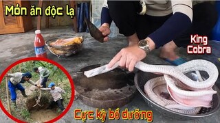 Ẩm Thực Cặp Rắn Hổ Mang Hầm Gà Thuốc Bắc Cực Kỳ Bổ Dưỡng | Trần Thạch Vlogs