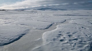 [Tập 2 - Thuyết Minh] Bảy thế giới, một hành tinh - Seven Worlds One Planet S01E02