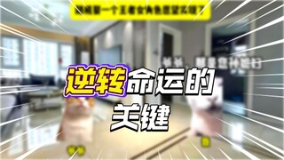 这就不是选择题，是福利啊