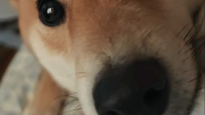 I just tiptoed right up.