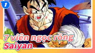 [7 viên ngọc rồng] Saiyan chiến đấu cho tương lai trong khoảnh khắc tuyệt vọng_1