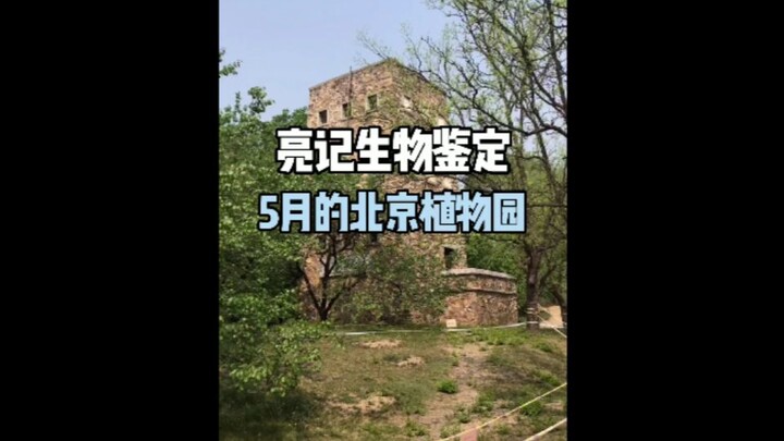 【Penilaian Biologis Liang Ji】Kebun Raya Beijing Bulan Mei