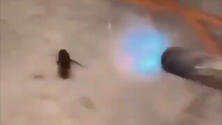 In that instant, the cockroach turned into light.