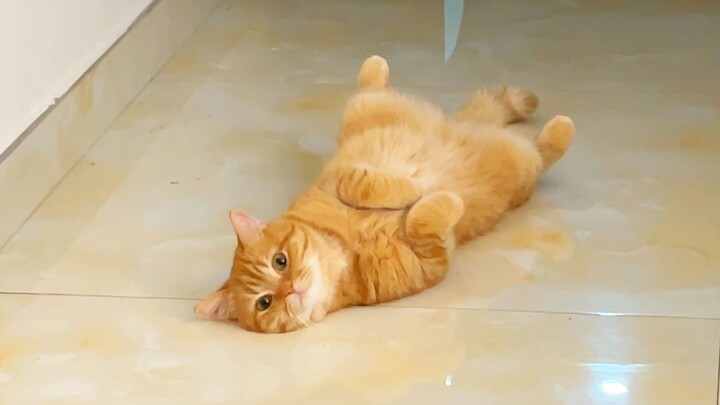 เจ้าส้มเหม็นเอาแต่ตกปลาเพื่อจับผิดมาล่อผมทุกวัน! ใครจะทนไหวกันล่ะ?