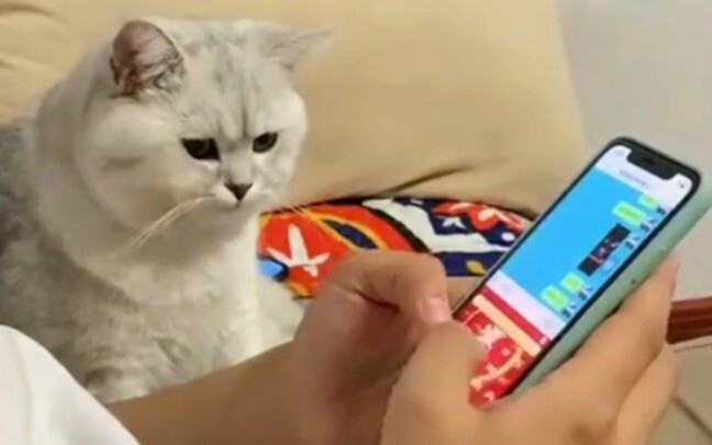 Life has changed, and so have you.