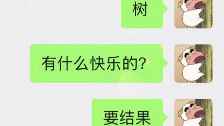 我和我的段子人生😅