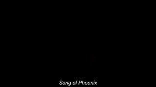 Song of Phoenix 1