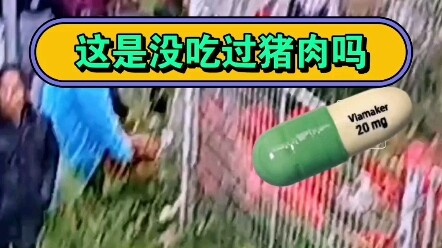 A pork truck overturned, and the people of Jiangsu once again demonstrated their warmth, kindness, a