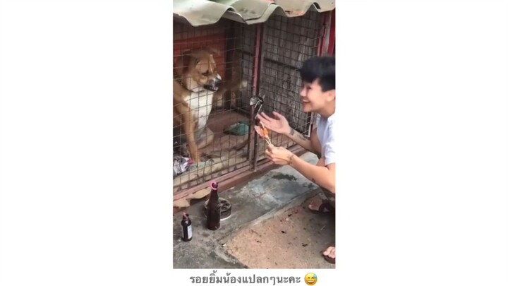 รอยยิ้มน้องดูแปลกๆ