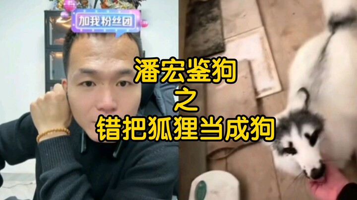 [Pan Hong Live Stream] “Big Brother’s intelligence is unknown, but his heart is kind”
