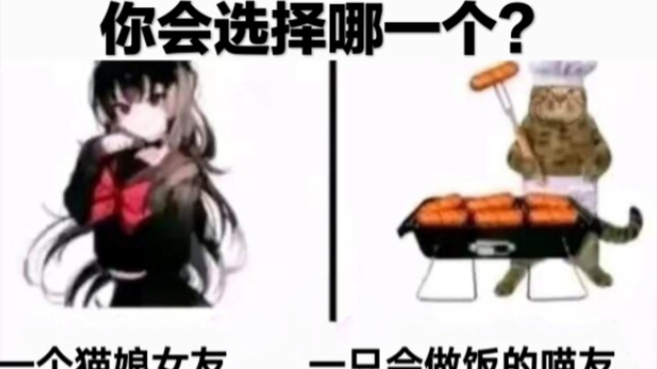 A cat friend who can bake starch sausages and a cat girl who loves you very much, which one would yo