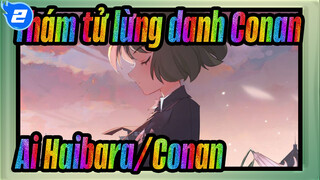 Thám tử lừng danh Conan
Ai Haibara/Conan_2