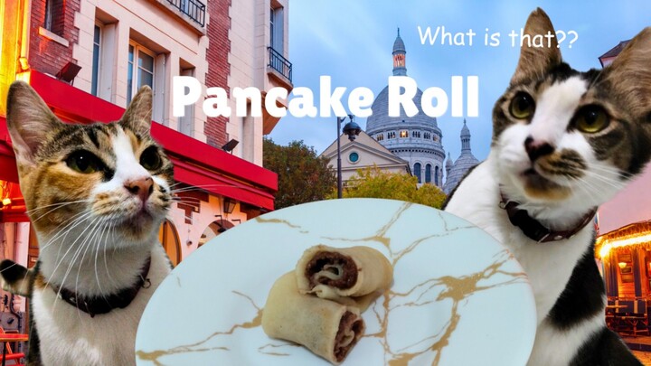 cat tries pancake roll for the first time
