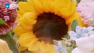 [Vietsub] Keep Running Mùa 10- Tập 2