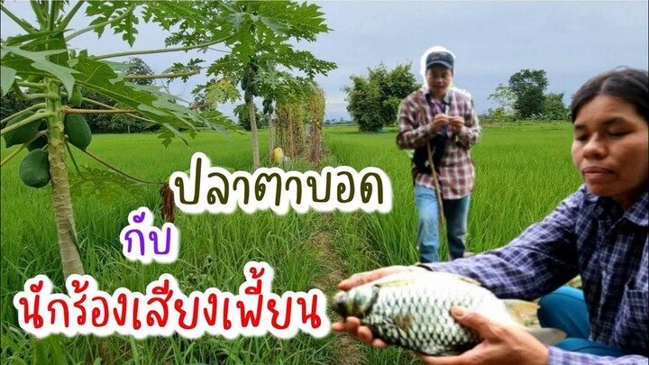 EP160พาคุณยายมาช้อปปิ้ง หากับข้าวไปกินแลง กับบรรยากาศทุ่งนายามเย็น