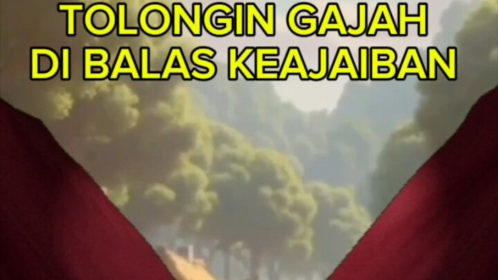 ANAK INI SELAMATKAN GAJAH KEJEBAK LUMPUR ... BALASANNYA BIKIN NANGIS