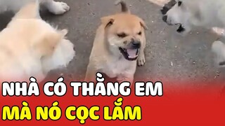 Nhà có đứa em nhỏ, nhìn bé bé vậy thôi chứ TÍNH NÓNG NHƯ KEM 😂 | Yêu Lu