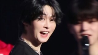 【ลีมินโฮ】แมวหายเหรอ? มุมมองกล้องข้าวเหนียวที่มีความคมชัดสูงและน่ารักกำลังมา