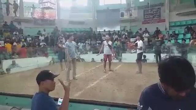 Boston sweater jnp_kurimao gamefowl.. .. makunat Ang kalaban..