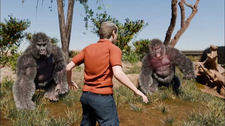 Apa yang Harus Dilakukan Jika Kamu Tidak Sengaja Jatuh ke dalam Kawanan Gorila?