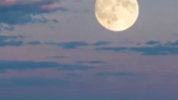 Capricorn Peak: Success Mastery ♑