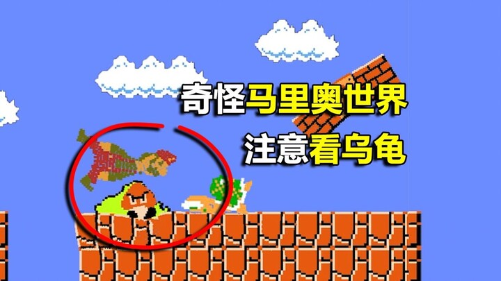 Watch out for the upside-down turtle—this Mario world is acting weird!