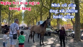 Ngày hội ngựa trong làng/nhà cũ trước khi ly hôn của ông xã/đi dạo/cuộc sống pháp