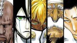 BLEACH : Ten Blades to Blades!!!!