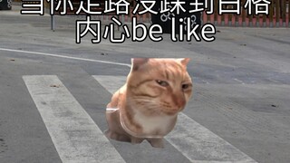 เวลาเดินไม่เหยียบช่องขาวใจจะเหมือน
