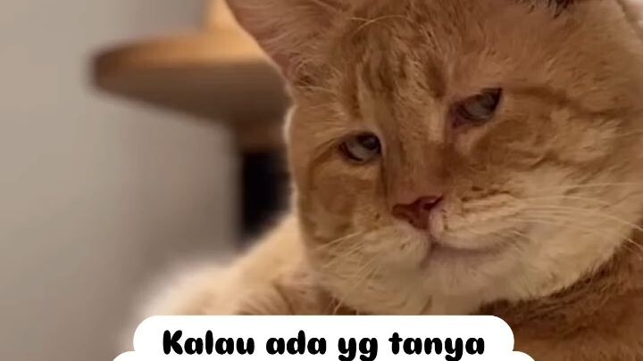 eehh 🙈🙈