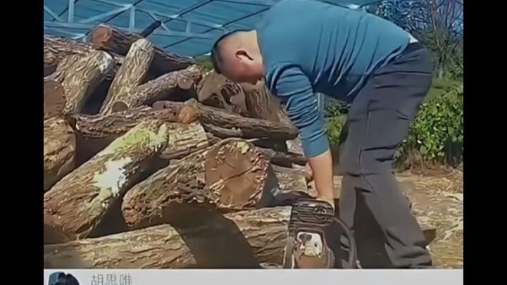 Cuối cùng cũng biết vì sao Quang Đầu Cường cứ chặt cây đến nửa chừng là gấu xuất hiện.