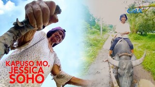 73-ANYOS NA LOLA SA NORTH COTABATO, SUBSOB PA RIN SA PAG-AARARO | Kapuso Mo, Jessica Soho